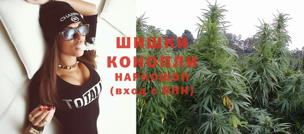 spice Вязьма